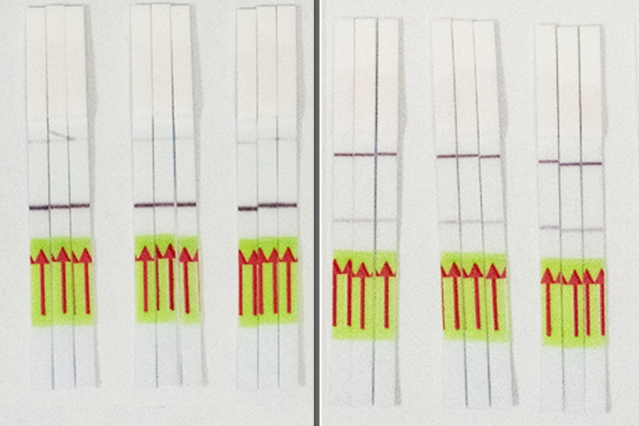 Cells Target by Covid-19