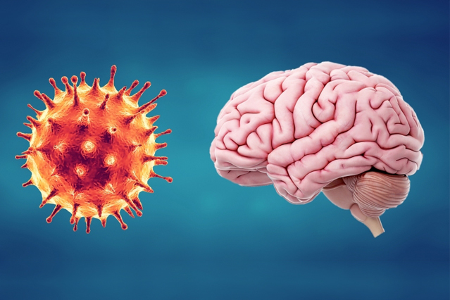 Covid-19 and Brain